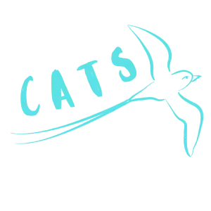 Un oiseau emblématique à l'île de la Réunion survolle les initiales CATS natation